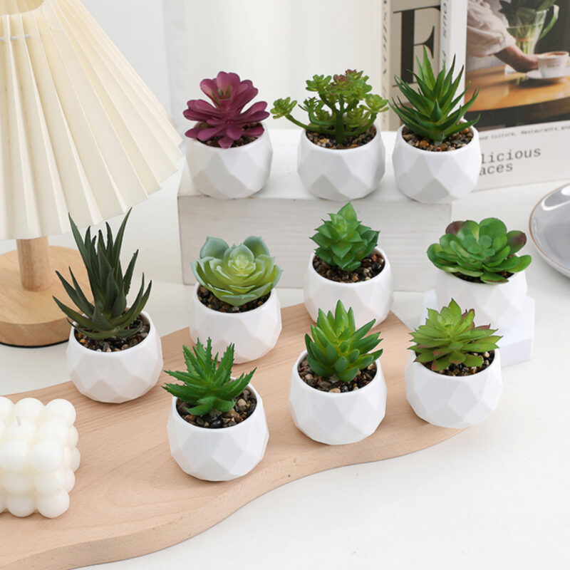 Artificial Succulent Plants with White Pots