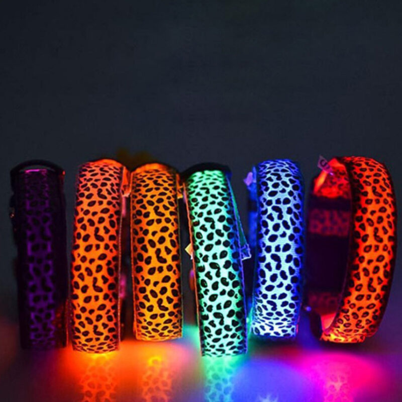 Rechargeable LED Pet Collar