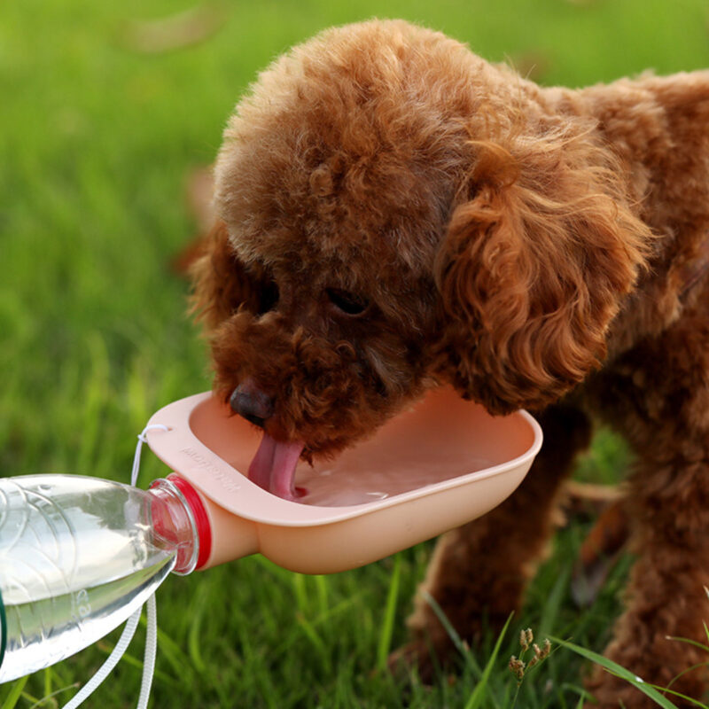 Portable Dog Water Bottle